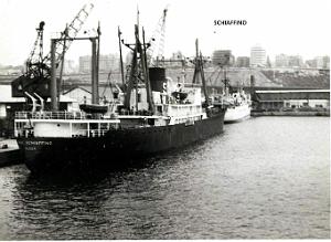 SCHIAFFINO 02